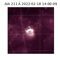 saia - 2022-02-18T14:00:09.632000