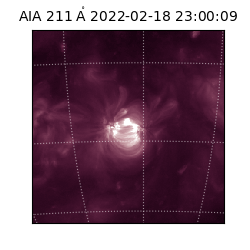 saia - 2022-02-18T23:00:09.622000