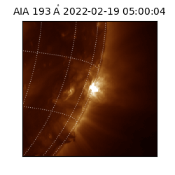 saia - 2022-02-19T05:00:04.843000