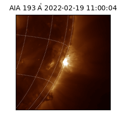 saia - 2022-02-19T11:00:04.843000