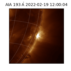 saia - 2022-02-19T12:00:04.843000