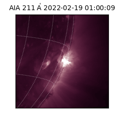 saia - 2022-02-19T01:00:09.630000