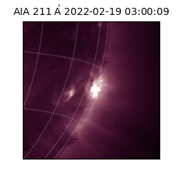 saia - 2022-02-19T03:00:09.623000