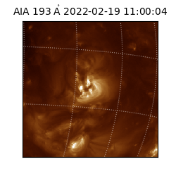 saia - 2022-02-19T11:00:04.843000