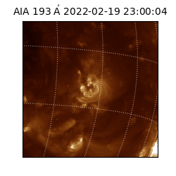 saia - 2022-02-19T23:00:04.835000