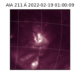 saia - 2022-02-19T01:00:09.630000