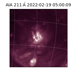 saia - 2022-02-19T05:00:09.630000