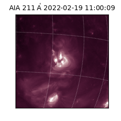 saia - 2022-02-19T11:00:09.626000