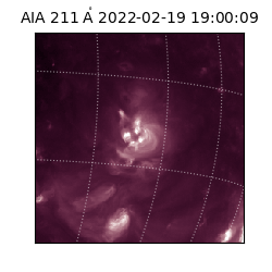 saia - 2022-02-19T19:00:09.626000