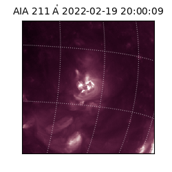 saia - 2022-02-19T20:00:09.626000