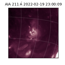 saia - 2022-02-19T23:00:09.618000