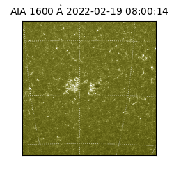 saia - 2022-02-19T08:00:14.129000