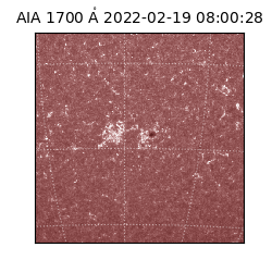 saia - 2022-02-19T08:00:28.746000