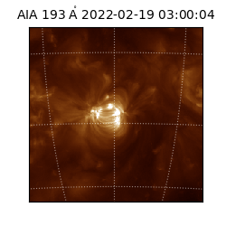 saia - 2022-02-19T03:00:04.843000