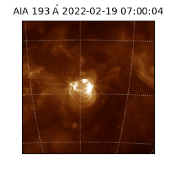 saia - 2022-02-19T07:00:04.843000