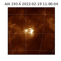 saia - 2022-02-19T11:00:04.843000