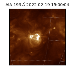saia - 2022-02-19T15:00:04.846000