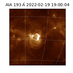 saia - 2022-02-19T19:00:04.843000