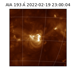 saia - 2022-02-19T23:00:04.835000