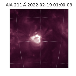 saia - 2022-02-19T01:00:09.630000