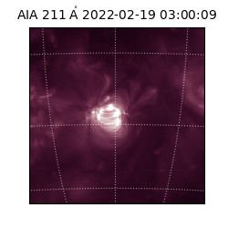 saia - 2022-02-19T03:00:09.623000