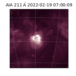 saia - 2022-02-19T07:00:09.626000