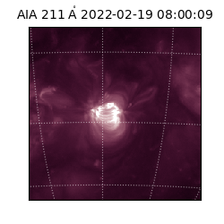 saia - 2022-02-19T08:00:09.626000