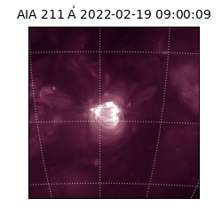 saia - 2022-02-19T09:00:09.631000