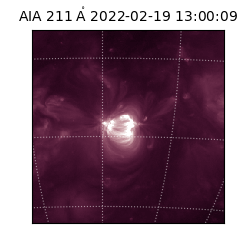 saia - 2022-02-19T13:00:09.626000