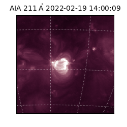 saia - 2022-02-19T14:00:09.629000