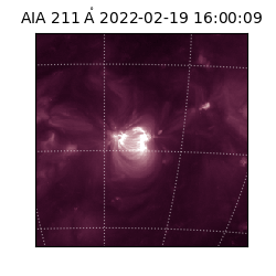 saia - 2022-02-19T16:00:09.623000