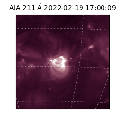 saia - 2022-02-19T17:00:09.626000