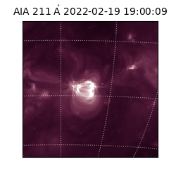 saia - 2022-02-19T19:00:09.626000