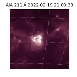 saia - 2022-02-19T21:00:33.632000