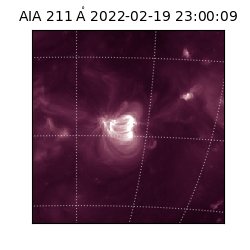 saia - 2022-02-19T23:00:09.618000
