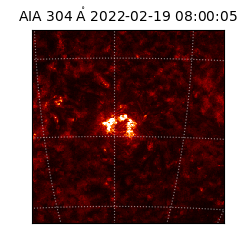 saia - 2022-02-19T08:00:05.129000