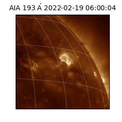 saia - 2022-02-19T06:00:04.843000