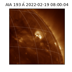 saia - 2022-02-19T08:00:04.843000