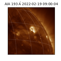 saia - 2022-02-19T09:00:04.843000