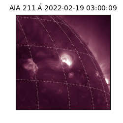 saia - 2022-02-19T03:00:09.623000