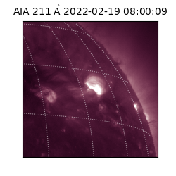 saia - 2022-02-19T08:00:09.626000