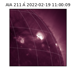 saia - 2022-02-19T11:00:09.626000