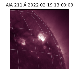 saia - 2022-02-19T13:00:09.626000