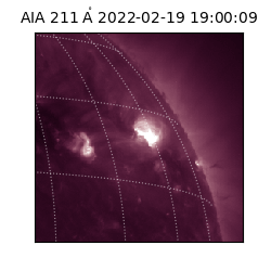 saia - 2022-02-19T19:00:09.626000