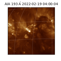 saia - 2022-02-19T04:00:04.843000