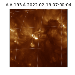 saia - 2022-02-19T07:00:04.843000