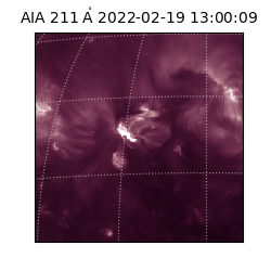 saia - 2022-02-19T13:00:09.626000