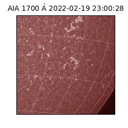 saia - 2022-02-19T23:00:28.745000