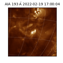 saia - 2022-02-19T17:00:04.844000