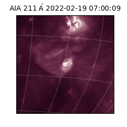 saia - 2022-02-19T07:00:09.626000